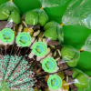 Dinosaur Party Themed Sweet Cones