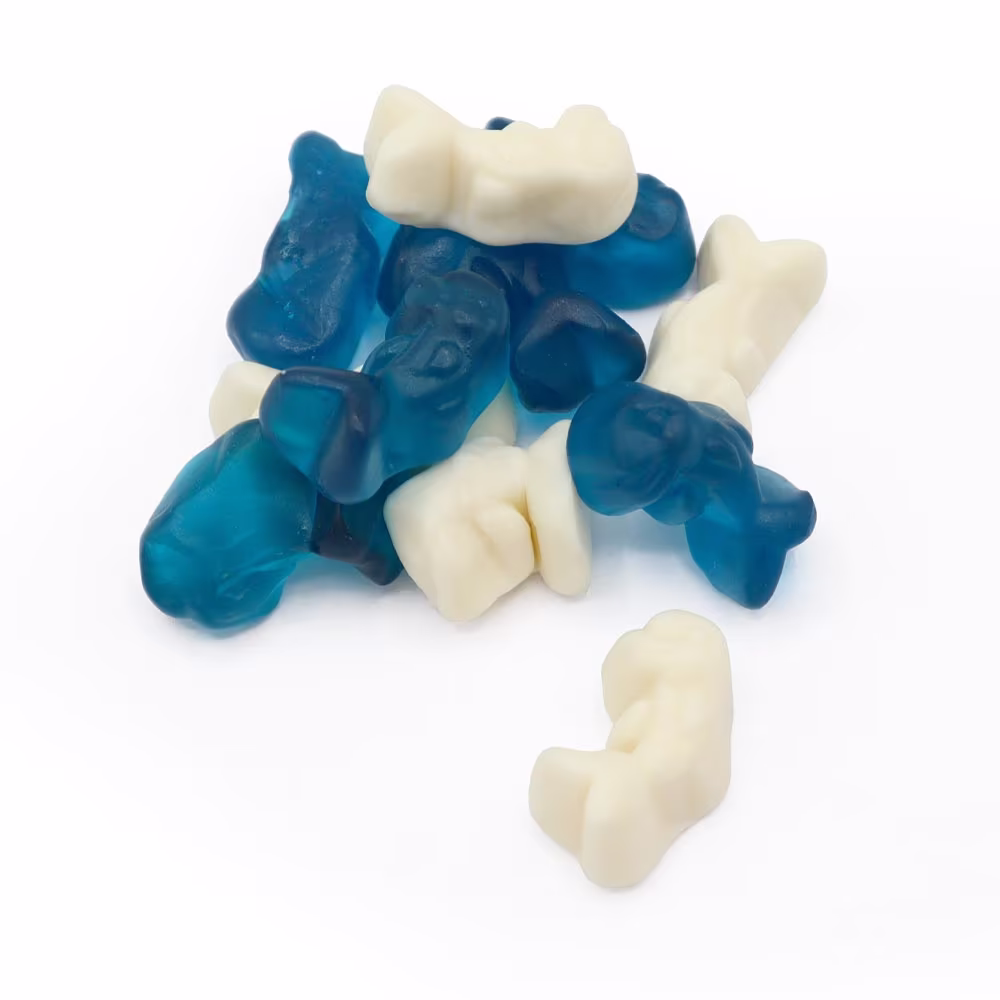 Blue and White Dolphins