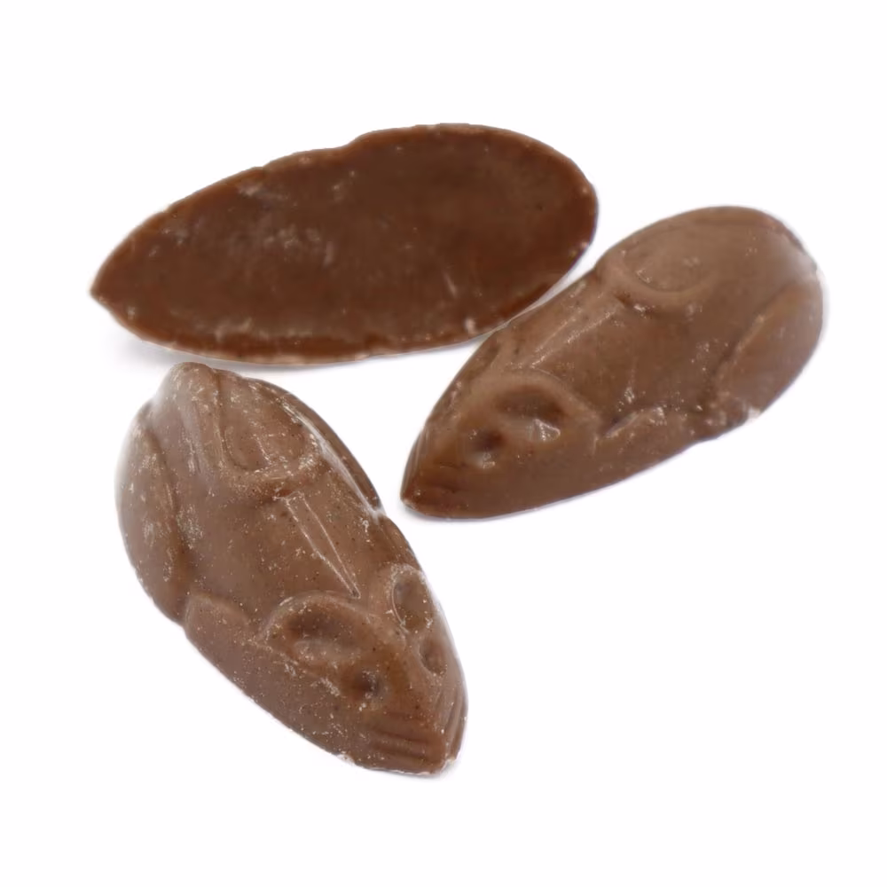 Hannah's chocolate mice